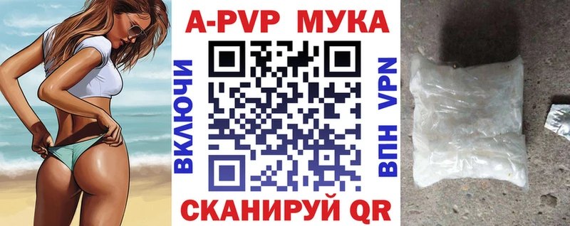 A PVP СК Гдов